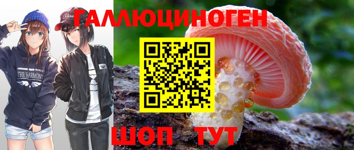Псилоцибиновые грибы мицелий  как найти закладки  Абакан  Вход с VPN 